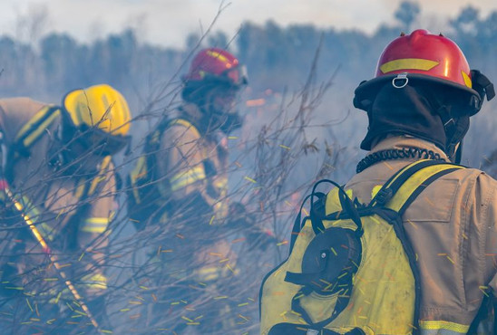 Foto Waldbrand