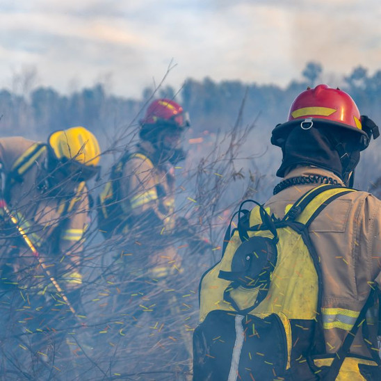 Foto Waldbrand
